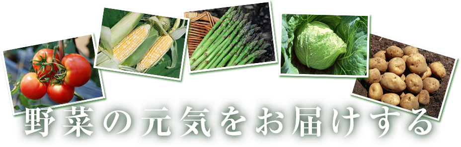 野菜の元気をお届けする